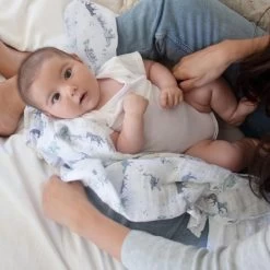 Aden + Anais Muslin Swaddles 2pk 7 Aden + Anais Muslin Swaddles 2pk -Baby Haven Shop 120721 bb2aaa9f dd85 42d2 90cd 1d01835e82de